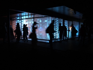 Blaue Blumen, Ambech, interaktive Installation, Glashaus im Paradies Jena